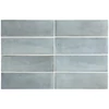 COCO BLUE GRASS MATT 5x15