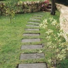 Kép 1/2 - TALPFA ELEM 60x25x4 CM ANTIK BARNA