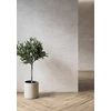 Kép 2/3 - MANUKA CREAM STRUCTURE SATIN 24X74 G1