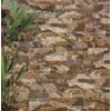 CARTAGO MARRON 15X45