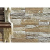 NEPTUNO BEIGE 15X45