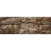 CARTAGO MARRON 15X45