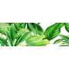 Kép 1/2 - VALORE PREMIUM GARDEN TOPIC  DEKOR A RET 25*75