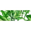 Kép 1/2 - VALORE PREMIUM GARDEN TOPIC  DEKOR C RET 25*75