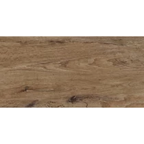 SIENA MARRON 30x60