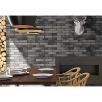 RETRO BRICK  PEPPER     24.5X6.5X0.8