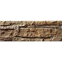 NEPTUNO MARRON 15X45