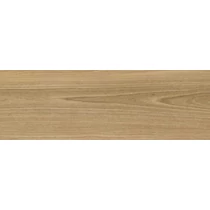 VALORE SANTI DREAMWOOD GLOSSY RET 25*75