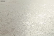 Teri Ivory 59,8x119,8 cm