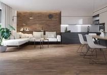 VALORE BOTANICA QUEBECK WOOD BROWN RET 20*120