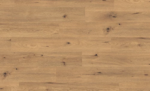 Classic Natural Wild Oak