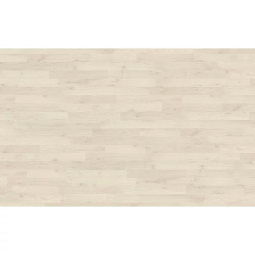Polar Oak