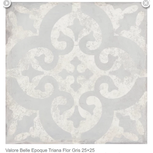 Valore TRIANA FLOR GRIS 25×25