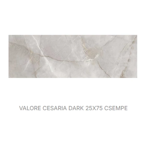 VALORE CESARIA DARK RET 25*75