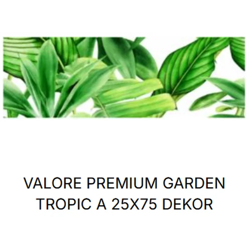 VALORE PREMIUM GARDEN TOPIC  DEKOR A RET 25*75