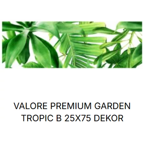 VALORE PREMIUM GARDEN TOPIC  DEKOR B RET 25*75