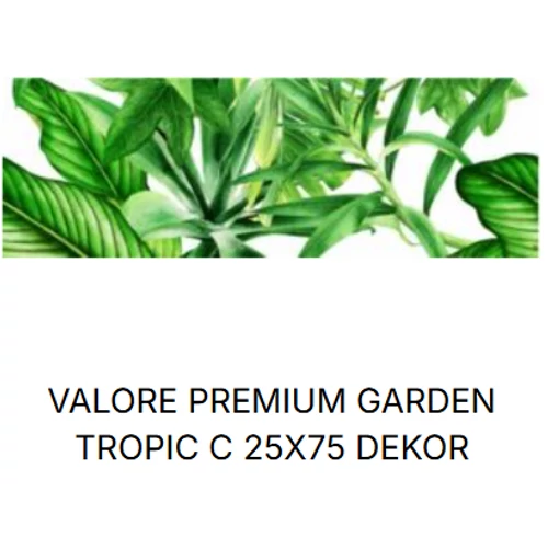 VALORE PREMIUM GARDEN TOPIC  DEKOR C RET 25*75