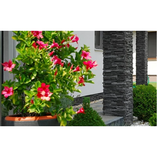 POVAZAN BLACK ( KAMEŇ POVAŽAN ČIERNY )