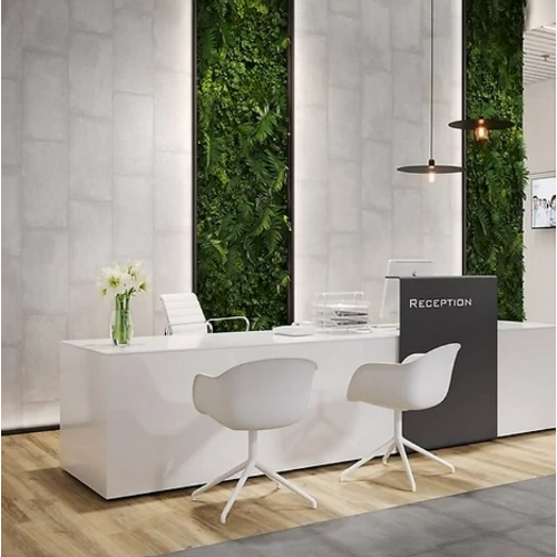 SHADOW DANCE TAUPE MATT 29,8X59,8 G1