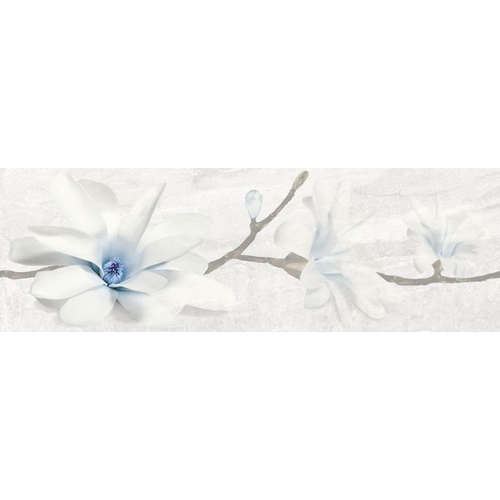 STONE FLOWERS GREY INSERTO 25X75
