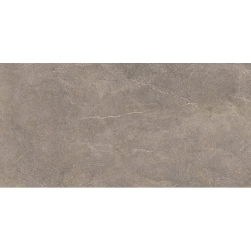 PURE STONE GREY MATT RECT 59,5X120 G1