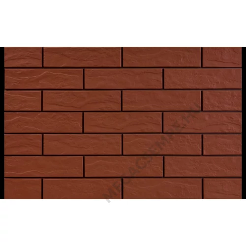 ROT RUST  24,5*6,5*0,65