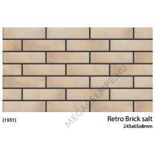 RETRO BRICK  SALT     24.5X6.5X0.8