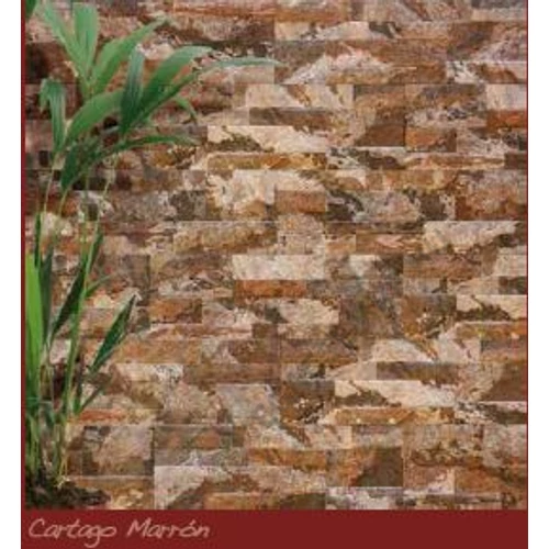 CARTAGO MARRON 15X45